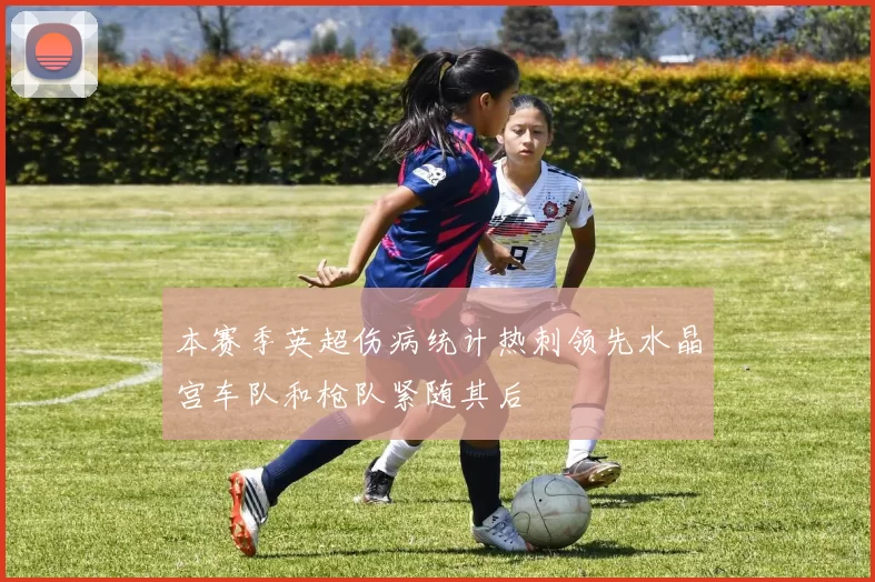 本赛季英超伤病统计热刺领先水晶宫车队和枪队紧随其后