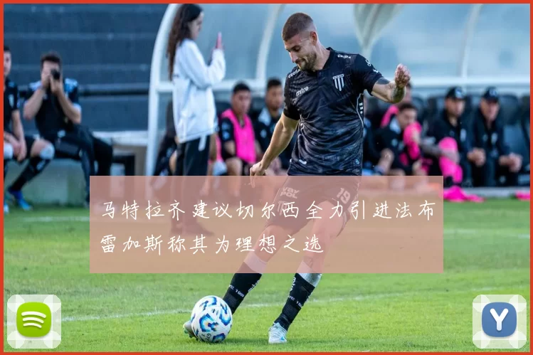 马特拉齐建议切尔西全力引进法布雷加斯称其为理想之选