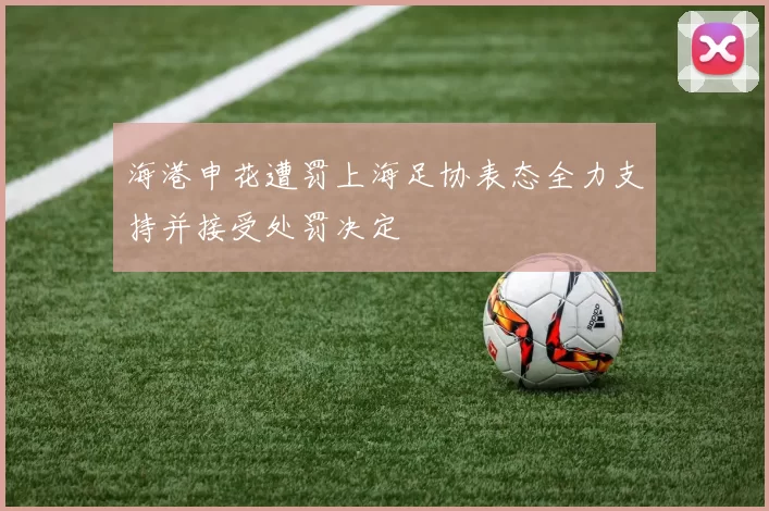 海港申花遭罚上海足协表态全力支持并接受处罚决定